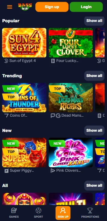 mobile application casino and web version