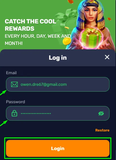 Basswin Casino Login Interface